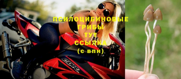 соль ск Балабаново