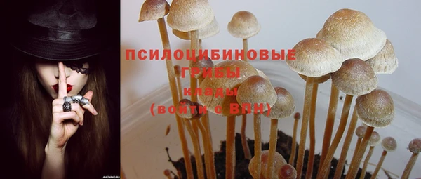 соль ск Балабаново