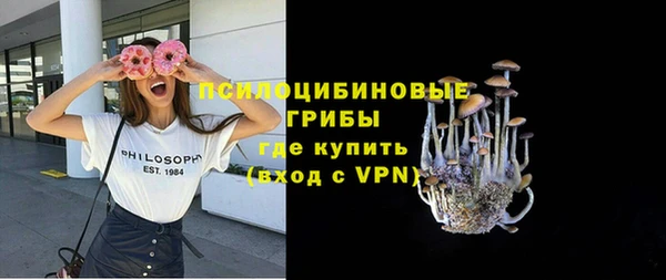 ПСИЛОЦИБИНОВЫЕ ГРИБЫ Балахна
