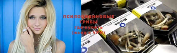 марки nbome Баксан