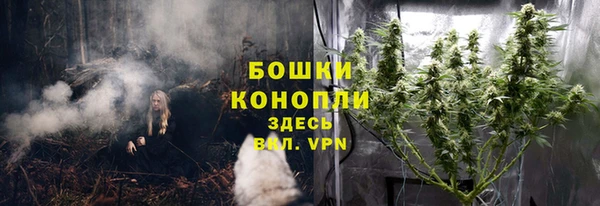 соль ск Балабаново