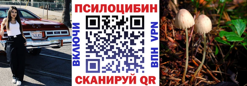 купить наркоту  Ливны  Псилоцибиновые грибы Magic Shrooms 